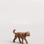 Posed 2605-003 Woman