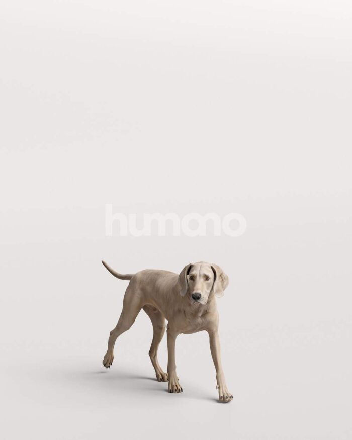 Humano_Posed_2711-001-Dog_01_LOD0_Main_0001-1.jpg