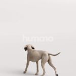 Humano_Posed_2711-001-Dog_01_LOD0_Main_0004.jpg