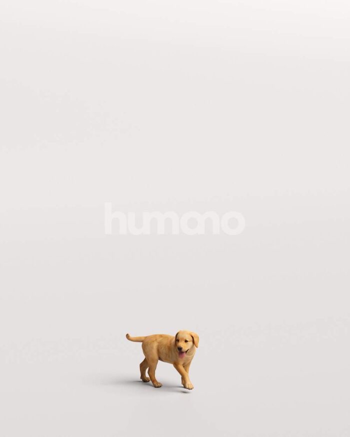 Humano_Posed_2711-002-Dog_01_LOD0_Main_0001-1.jpg