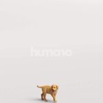 Humano_Posed_2711-002-Dog_01_LOD0_Main_0001
