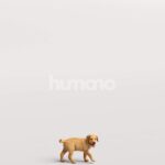 Humano_Posed_2711-002-Dog_01_LOD0_Main_0002.jpg
