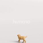 Humano_Posed_2711-002-Dog_01_LOD0_Main_0004.jpg