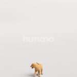 Humano_Posed_2711-002-Dog_01_LOD0_Main_0005.jpg