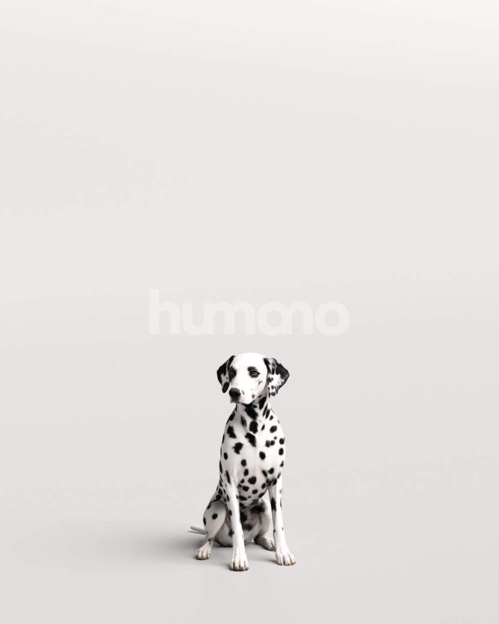 Humano_Posed_2711-003-Dog_01_LOD0_Main_0001-1.jpg