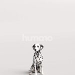 Humano_Posed_2711-003-Dog_01_LOD0_Main_0001