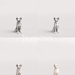 Humano_Posed_2711-003-Dog_01_LOD0_Main_0001_Combine-1.jpg