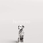 Humano_Posed_2711-003-Dog_01_LOD0_Main_0003.jpg