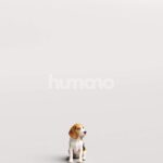 Humano_Posed_2711-004-Dog_01_LOD0_Main_0001-1.jpg