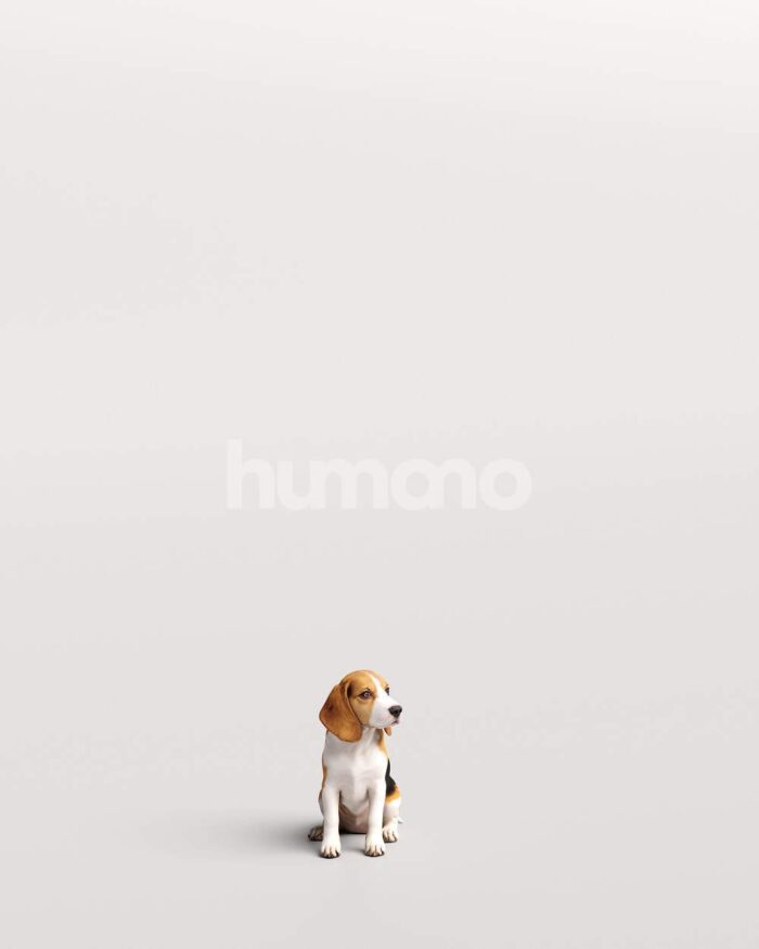 Humano_Posed_2711-004-Dog_01_LOD0_Main_0001-1.jpg