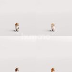 Humano_Posed_2711-004-Dog_01_LOD0_Main_0001_Combine-1.jpg
