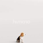 Humano_Posed_2711-004-Dog_01_LOD0_Main_0002.jpg