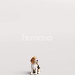 Humano_Posed_2711-004-Dog_01_LOD0_Main_0003.jpg