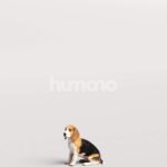 Humano_Posed_2711-004-Dog_01_LOD0_Main_0005.jpg