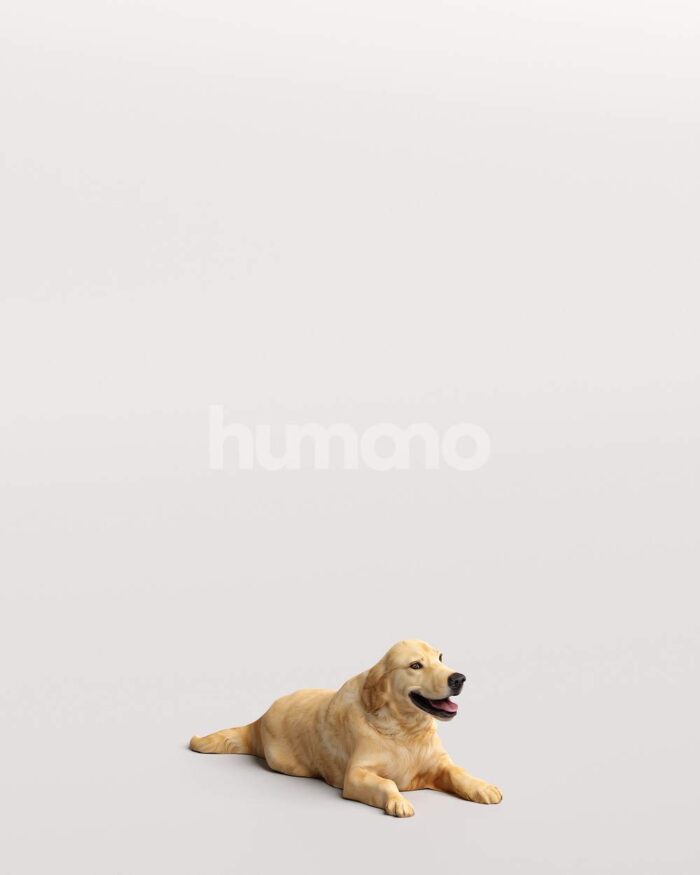 Humano_Posed_2711-005-Dog_01_LOD0_Main_0001-1.jpg