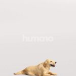 Humano_Posed_2711-005-Dog_01_LOD0_Main_0002.jpg
