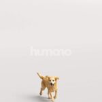 Humano_Posed_2711-006-Dog_01_LOD0_Main_0001