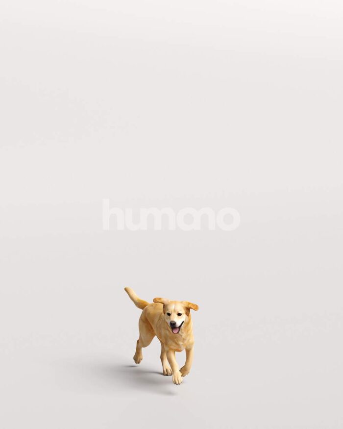 Humano_Posed_2711-006-Dog_01_LOD0_Main_0001