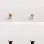 Humano_Posed_2711-006-Dog_01_LOD0_Main_0001_Combine