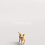Humano_Posed_2711-006-Dog_01_LOD0_Main_0003