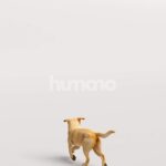 Humano_Posed_2711-006-Dog_01_LOD0_Main_0004