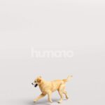 Humano_Posed_2711-006-Dog_01_LOD0_Main_0005