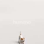 Humano_Posed_2711-007-Dog_01_LOD0_Main_0001