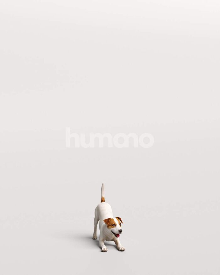 Humano_Posed_2711-007-Dog_01_LOD0_Main_0001