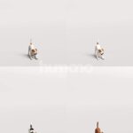 Humano_Posed_2711-007-Dog_01_LOD0_Main_0001_Combine