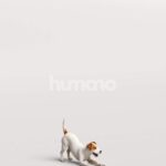 Humano_Posed_2711-007-Dog_01_LOD0_Main_0002