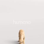 Humano_Posed_2711-008-Dog_01_LOD0_Main_0003