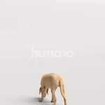 Humano_Posed_2711-008-Dog_01_LOD0_Main_0004