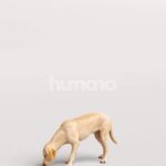 Humano_Posed_2711-008-Dog_01_LOD0_Main_0005