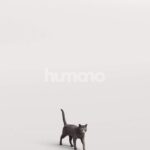 Humano_Posed_2711-009-Cat_01_LOD0_Main_0001