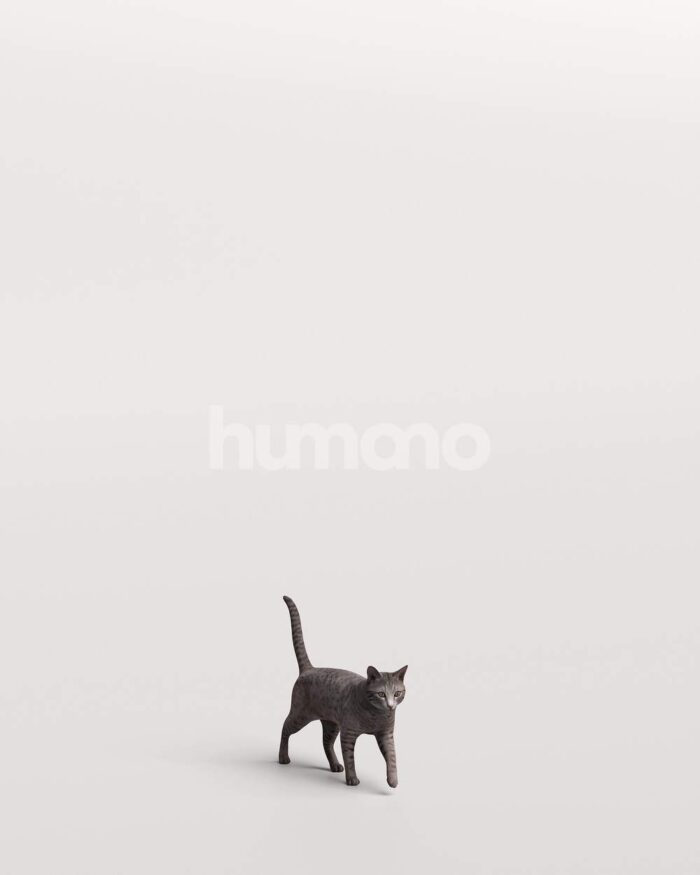 Humano_Posed_2711-009-Cat_01_LOD0_Main_0001