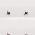 Humano_Posed_2711-009-Cat_01_LOD0_Main_0001_Combine