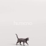 Humano_Posed_2711-009-Cat_01_LOD0_Main_0002