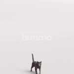 Humano_Posed_2711-009-Cat_01_LOD0_Main_0003