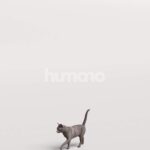 Humano_Posed_2711-009-Cat_01_LOD0_Main_0005