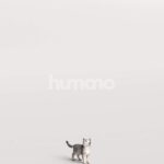 Humano_Posed_2711-010-Cat_01_LOD0_Main_0001