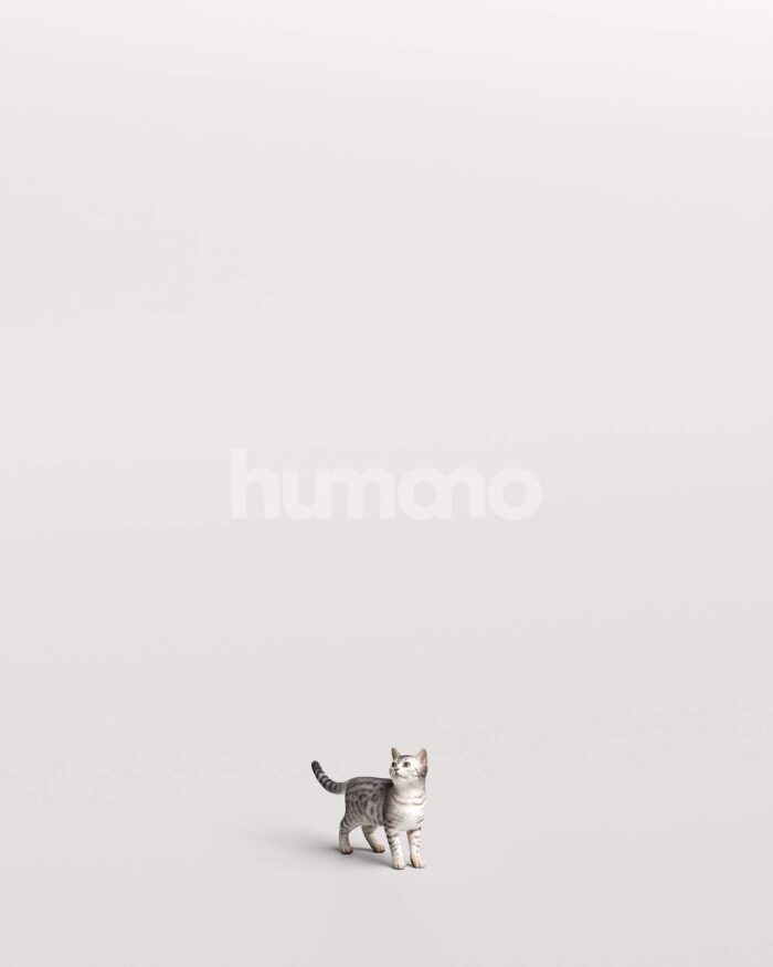 Humano_Posed_2711-010-Cat_01_LOD0_Main_0001