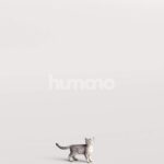 Humano_Posed_2711-010-Cat_01_LOD0_Main_0002