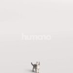 Humano_Posed_2711-010-Cat_01_LOD0_Main_0003