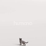 Humano_Posed_2711-010-Cat_01_LOD0_Main_0004