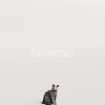 Humano_Posed_2711-011-Cat_01_LOD0_Main_0001
