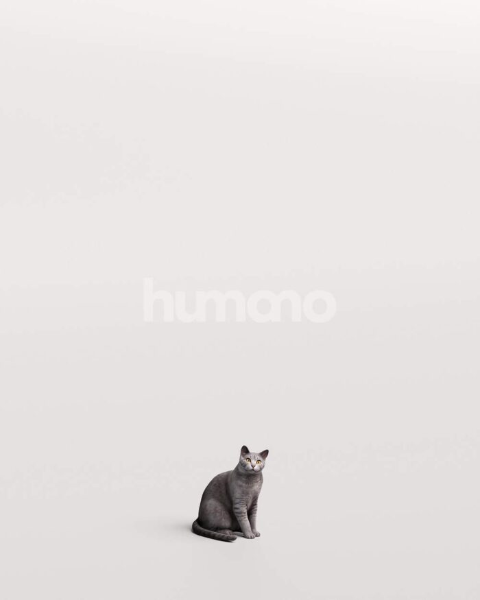 Humano_Posed_2711-011-Cat_01_LOD0_Main_0001