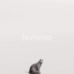 Humano_Posed_2711-011-Cat_01_LOD0_Main_0002