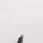 Humano_Posed_2711-011-Cat_01_LOD0_Main_0003