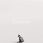 Humano_Posed_2711-011-Cat_01_LOD0_Main_0005