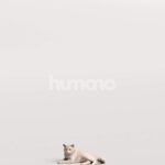 Humano_Posed_2711-012-Cat_01_LOD0_Main_0001